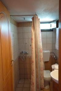een badkamer met een douche en een toilet bij Agnanti Villas 1 in Isómata