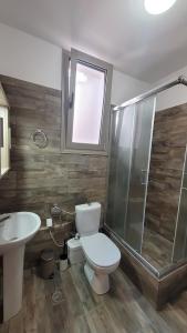 a bathroom with a toilet and a shower and a sink at Temeni windmills in Témeni