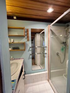 a bathroom with a shower and a sink and a mirror at Chalet dans le vert in Gassin