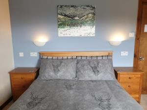 um quarto com uma cama com duas mesas de cabeceira e dois candeeiros em Loch Erisort Hotel em Balallan