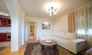 Gallery image of HILL Apartment in Soko Banja