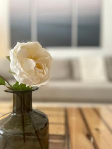 Landhaus mit Garten في Neutal: وردة بيضاء في مزهرية على طاولة