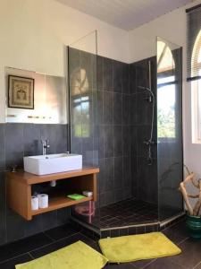 a bathroom with a sink and a shower at Te Mana Lodge in Taravao