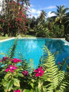 a blue swimming pool with pink flowers and palm trees at Te Mana Lodge in Taravao