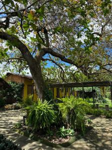 a tree in front of a yellow building with plants at Hotel Urumajó in Augusto Correa