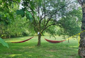 una hamaca colgando de un árbol en un parque en Mas Violella allotjament rural en Sant Joan les Fonts