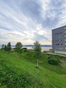 un campo verde con árboles y un edificio en Northern Dreams Apartment with free parking en Tromsø