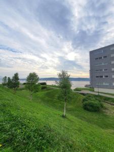 Fotografie z fotogalerie ubytování Northern Dreams Apartment with free parking v destinaci Tromsø