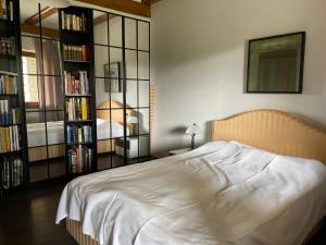 ein Schlafzimmer mit einem Bett und einem Bücherregal mit Büchern in der Unterkunft Auszeit auf dem KulturGut Hirtscheid in Hirtscheid