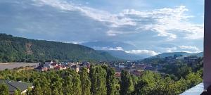 a town in a valley with trees and mountains at Motel in Qusar