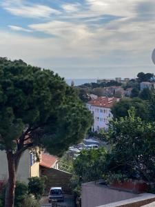Blick auf eine Stadt mit einem Baum und Gebäuden in der Unterkunft Elsa & David in Collioure