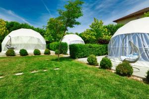 a group of three domes in a yard at Seagloo Glamping - Adults Only in Costinesti