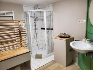 ein Bad mit einer Dusche und einem Waschbecken in der Unterkunft Donauwelle in Sigmaringendorf