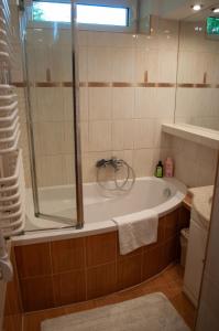 a bathroom with a bath tub and a shower at Apartament w Alejce in Rabka