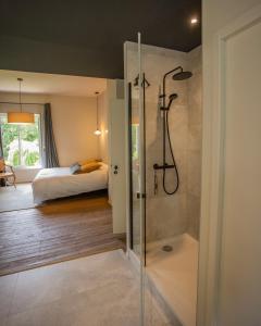 a bathroom with a shower and a bedroom at Domaine de La Soudelle in Chanceaux-sur-Choisille