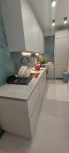 Kuchyň nebo kuchyňský kout v ubytování Mint Apartment
