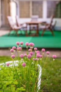 Zahrada ubytování Nefelejcs Hotel