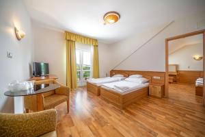 TV a/nebo společenská místnost v ubytování Nefelejcs Hotel