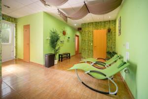 Lázně a/nebo wellness v ubytování Nefelejcs Hotel
