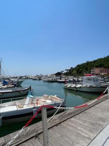 a group of boats docked in a harbor at Seahouse Bocca di Magra in Bocca di Magra