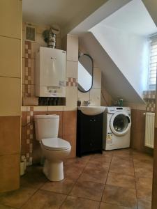 a bathroom with a toilet and a washing machine at Zakątek u Natalii in Lubawka