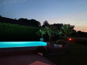 a swimming pool with plants in a backyard at night at Pool Sauna Entspannung in Rangsdorf