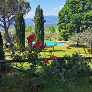 a garden with a swimming pool and red flowers at PODERE Piazza di Sopra in Reggello