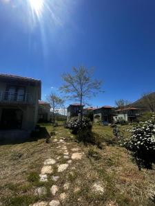 un patio con una casa y un árbol en un campo en Sirinevler Apart IMROS, en Gokceada Town