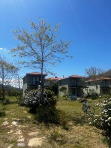 dom z drzewem przed nim w obiekcie Sirinevler Apart IMROS w mieście Gokceada
