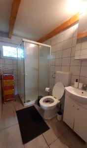 uma casa de banho com um chuveiro, um WC e um lavatório. em Réved(ez) em Szigetmonostor