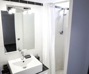 a bathroom with a sink and a mirror and a shower at F2 Cosy Centre Ville in Ajaccio