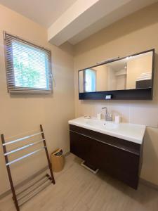 La salle de bains est pourvue d'un lavabo et d'un miroir. dans l'établissement Villa des Roseaux, à Bénodet