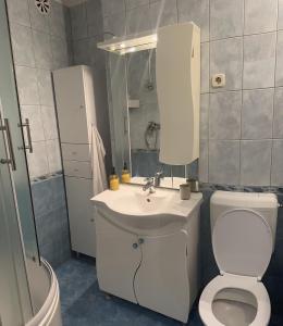 La salle de bains est pourvue d'un lavabo, de toilettes et d'un miroir. dans l'établissement Karla, à Split