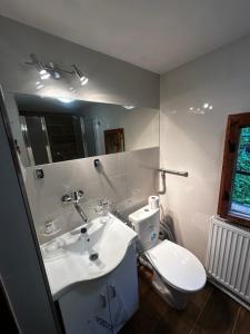 a bathroom with a sink and a toilet and a mirror at Chata Retro in Tatranská Lomnica
