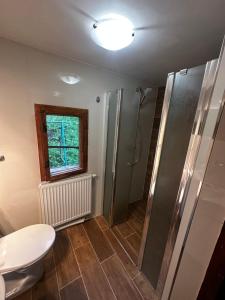 a bathroom with a toilet and a shower and a window at Chata Retro in Stará Lesná