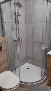 uma cabina de duche com WC na casa de banho em Central Platinum Apartments 2 em Rybnik