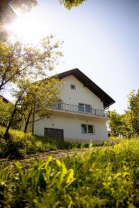 una gran casa blanca en medio de un campo en Rustic House in a Beautiful Village, en Cerklje ob Krki