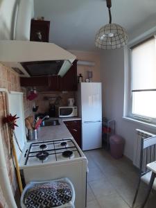 Kuchyň nebo kuchyňský kout v ubytování Apartment + 18 fotografií