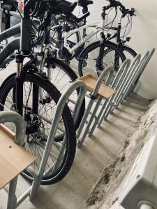Jízda na kole v ubytování Apartments Torggl nebo okolí