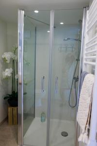 a shower with a glass door in a bathroom at Pierre de Lune in Bayeux