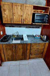 eine Küche mit einer Spüle und einer Mikrowelle in der Unterkunft Cabaña Jano in Posadas