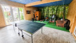 una sala da ping pong con tavolo da ping pong di Agroturystyka Staw i koza a Rzewnie