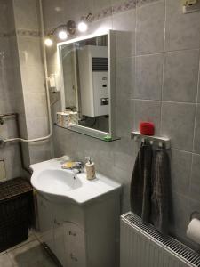 Koupelna v ubytování Orosz Apartmanház Gyula