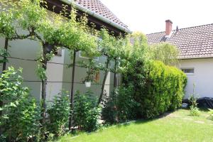 a fence with ivy on it next to a house at Orosz Apartmanház Gyula in Gyula