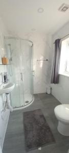 W łazience znajduje się prysznic, toaleta i umywalka. w obiekcie Stylish Home from Home w mieście Orpington
