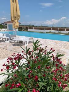 a plant with red flowers next to a pool at Pensiunea Taisia in Murighiol