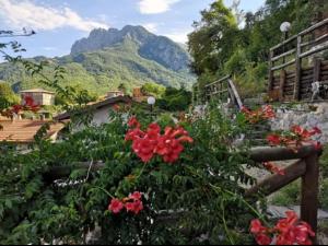 a garden with red flowers and mountains in the background at Agriturismo La Calamaia in Gorfigliano