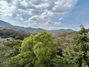 a view of a forest with mountains in the background at Lujoso Departamento in Mexico City