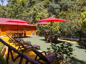 Zahrada ubytování Glamping Río Claro