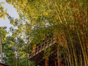 Zahrada ubytování Glamping Río Claro